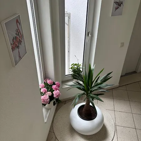 Moebelierte 3-zm-wohnung Mit Luxurioeser Innenausstattung In Zentrum