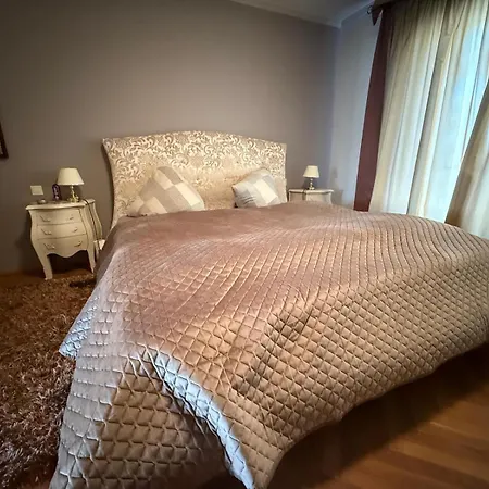 Lejlighed Moebelierte 3-zm-wohnung Mit Luxurioeser Innenausstattung In Zentrum