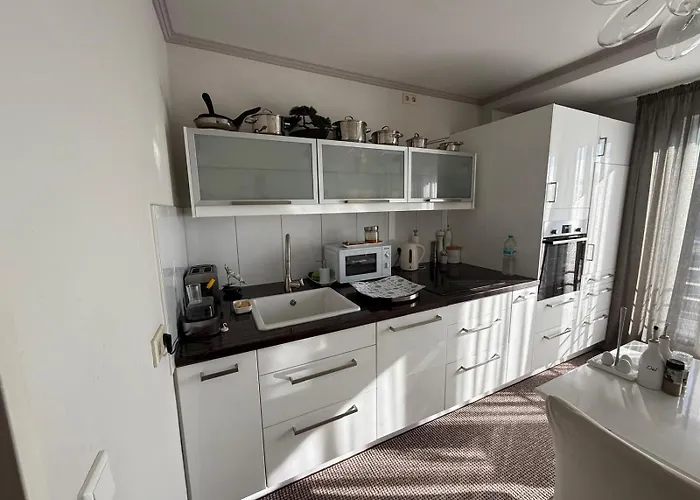 Moebelierte 3-zm-wohnung Mit Luxurioeser Innenausstattung In Zentrum 公寓