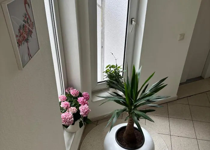 Moebelierte 3-zm-wohnung Mit Luxurioeser Innenausstattung In Zentrum