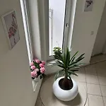 Moebelierte 3-zm-wohnung Mit Luxurioeser Innenausstattung In Zentrum